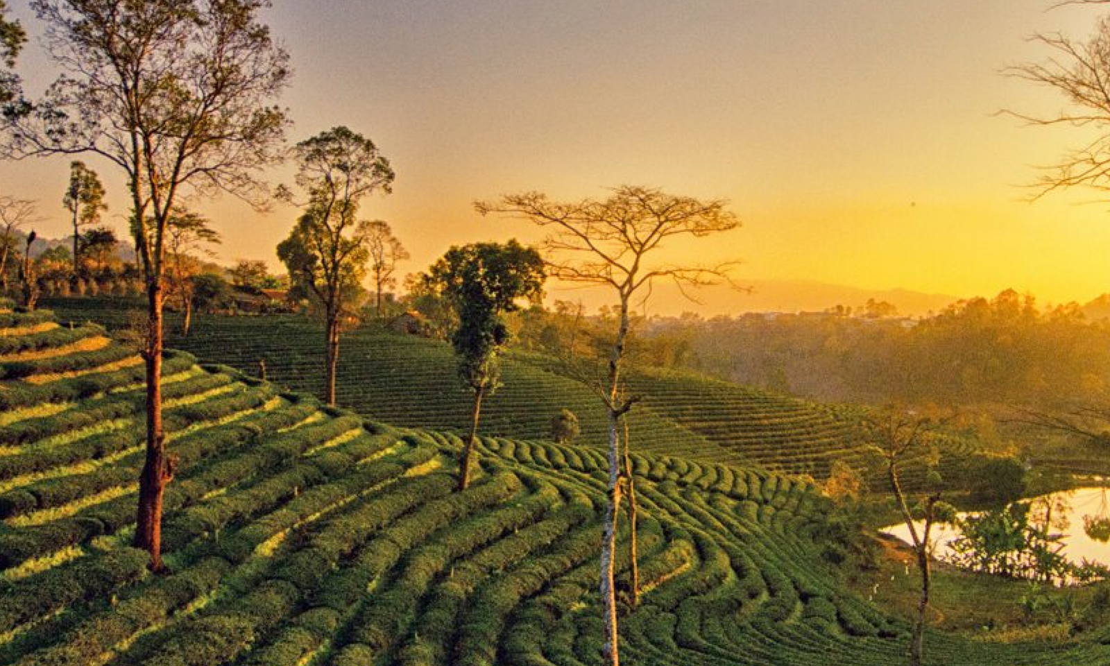 assam tourism